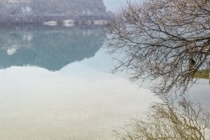 MG_0299-000-ridotta