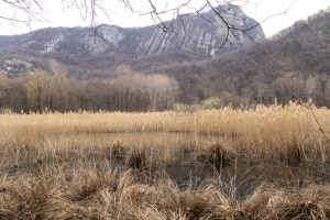 MG_1167-000-ridotta