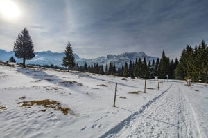 MG_0310-000