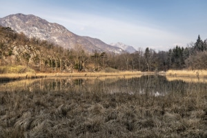 MG_1879-001-ridotta