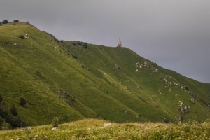 MG_7778-000-ridotta
