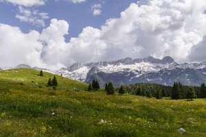 MG_4281-000