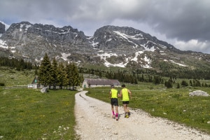 MG_7076-001-ridotta