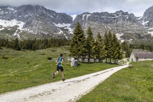 MG_7082-001-ridotta