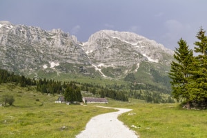MG_6834-000-ridotta